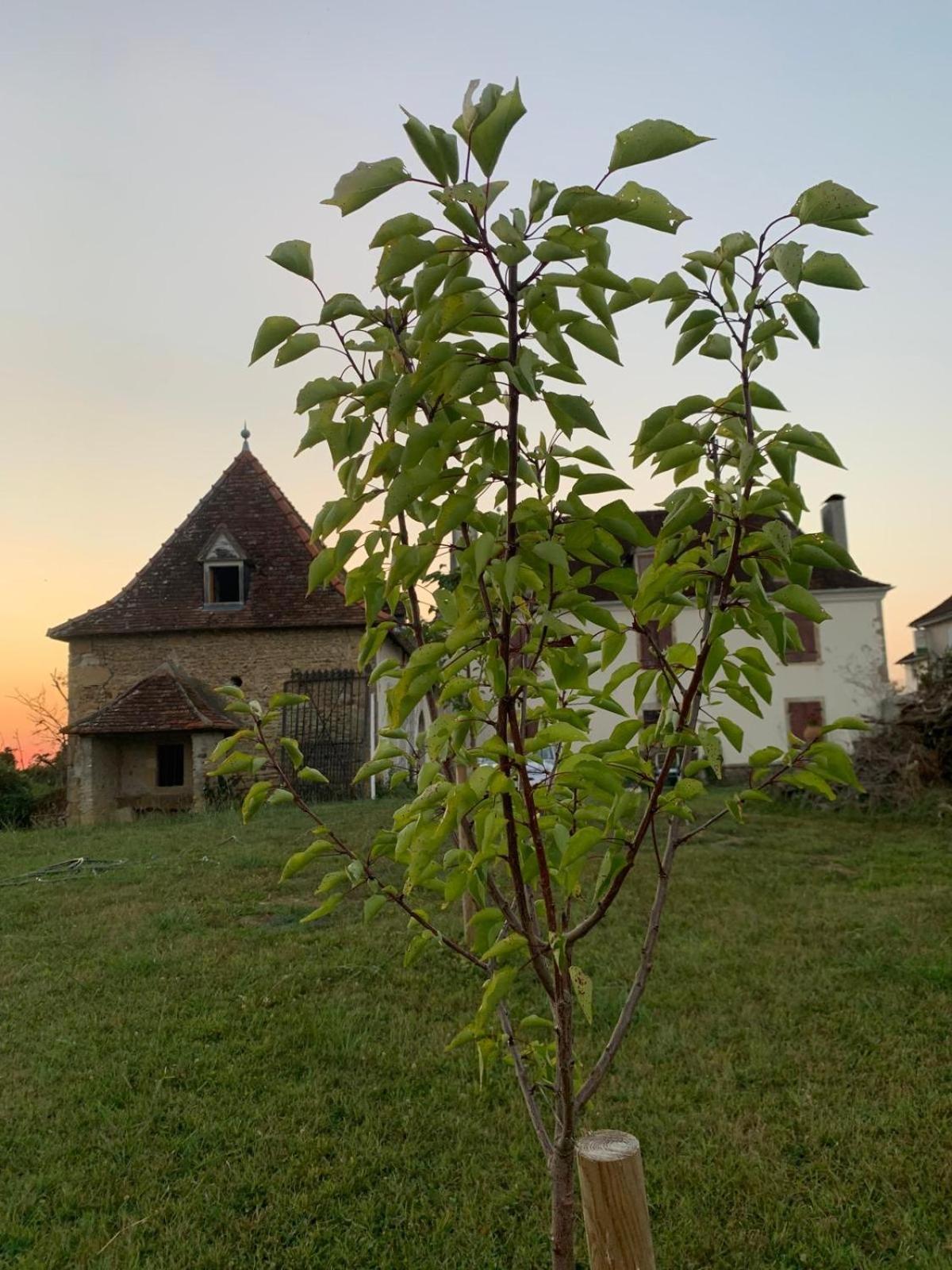 Lagor La Poesie B&B 외부 사진